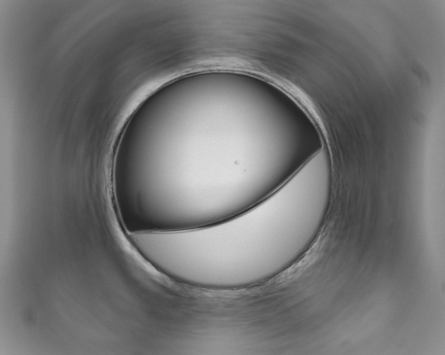 X0000111161389200906301049