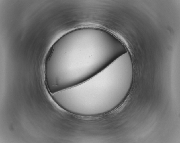 X0000111161391200906301049
