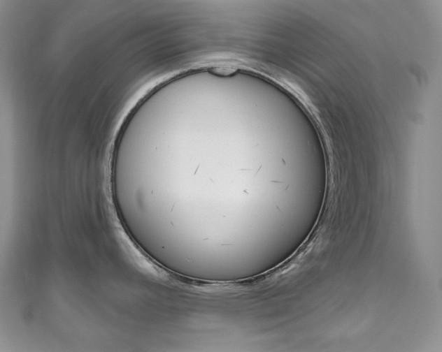 X0000111161392200906301049