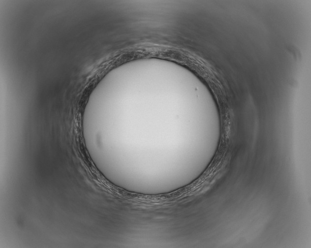 X0000111161397200906301049