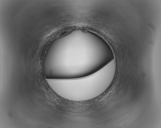 X0000111161398200906301049