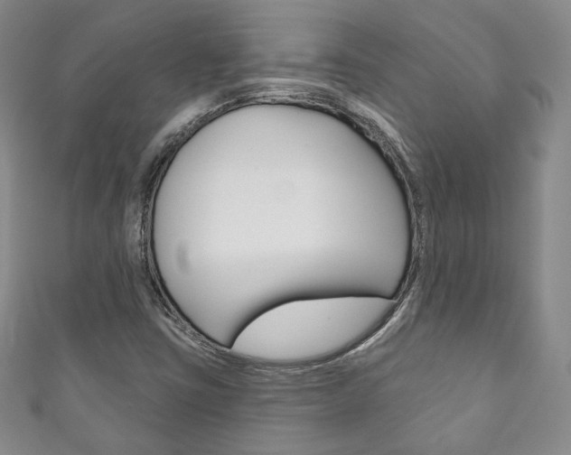 X0000111161403200906301049