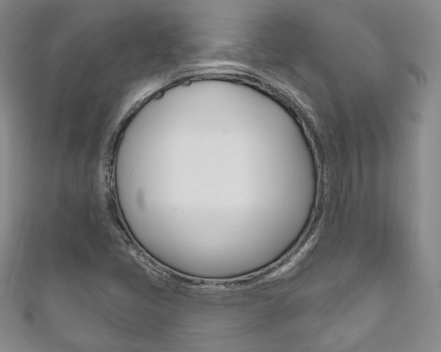 X0000111161405200906301049