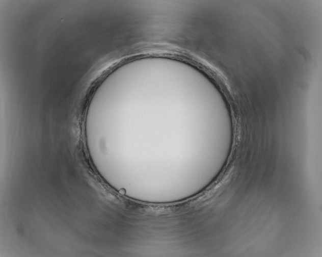 X0000111161407200906301049