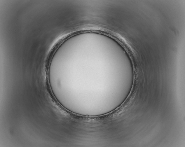 X0000111161408200906301049