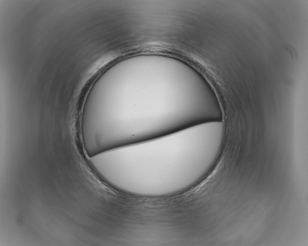 X0000111161410200906301049