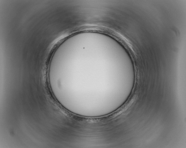 X0000111161411200906301049