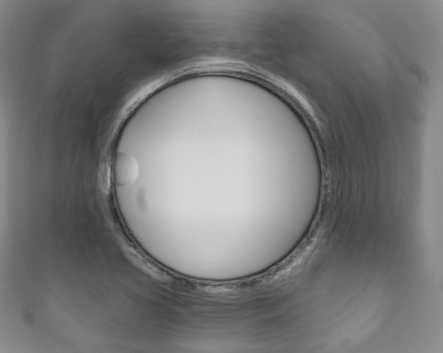 X0000111161413200906301049