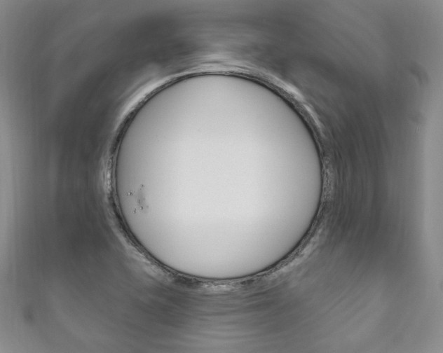 X0000111161415200906301049