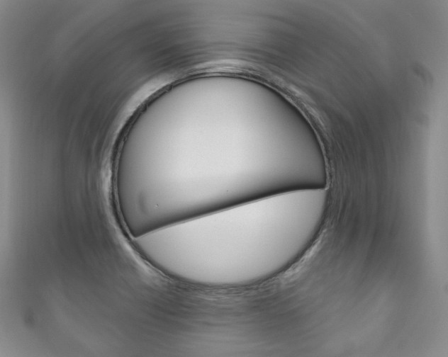 X0000111161418200906301049
