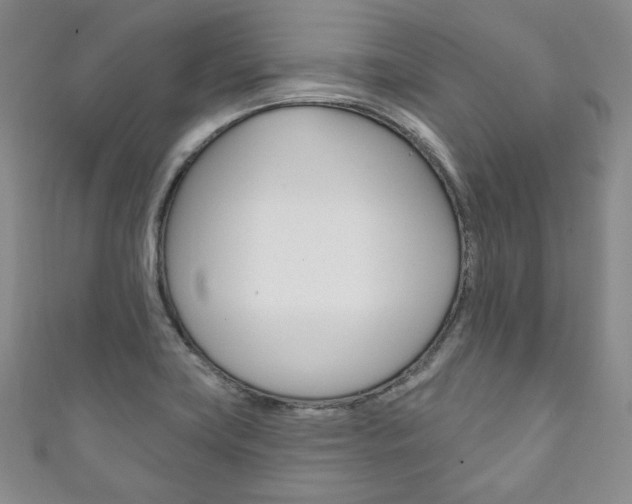 X0000111161419200906301049