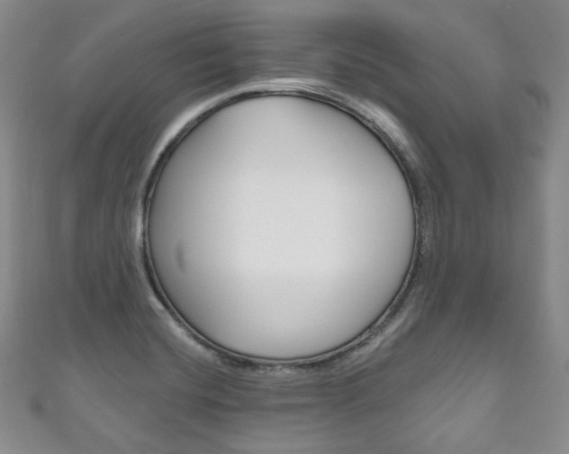 X0000111161420200906301049