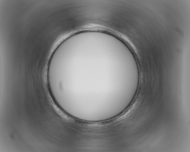 X0000111161421200906301049