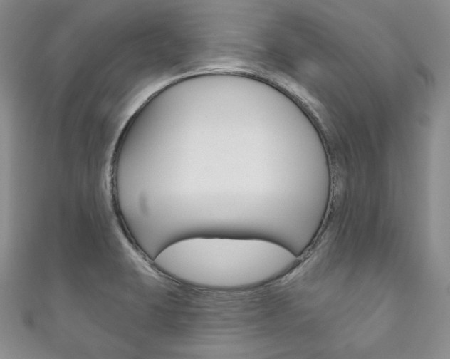 X0000111161423200906301049