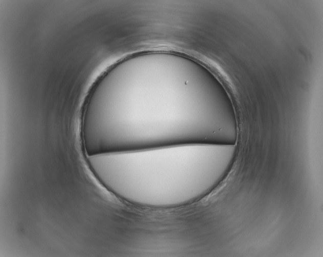 X0000111161424200906301049