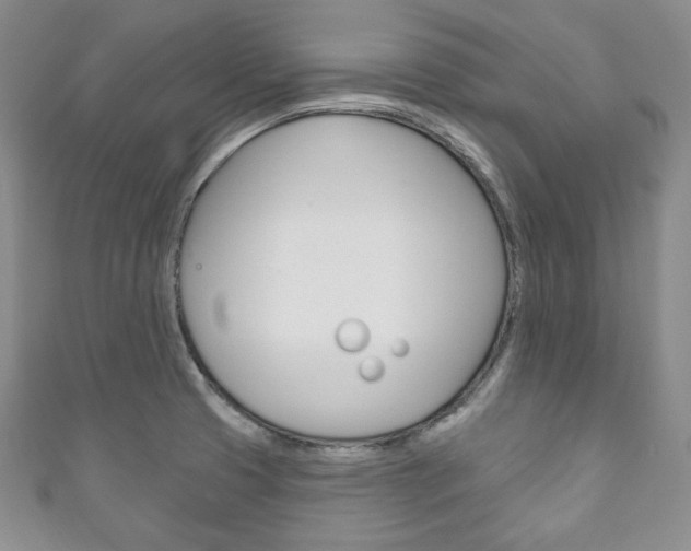 X0000111161425200906301049