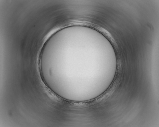 X0000111161427200906301049