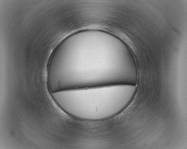 X0000111161428200906301049