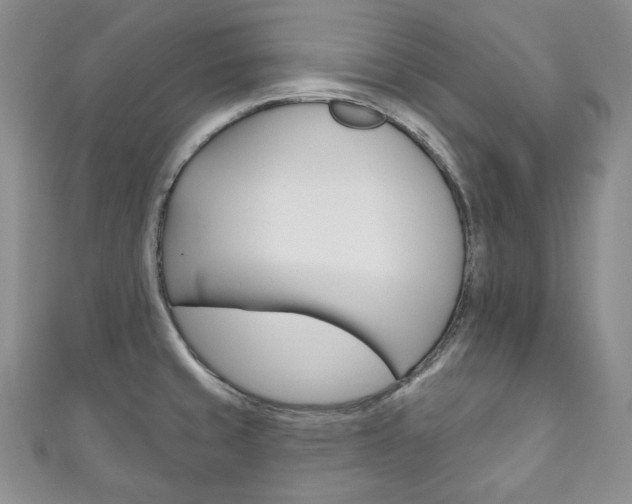 X0000111161429200906301049