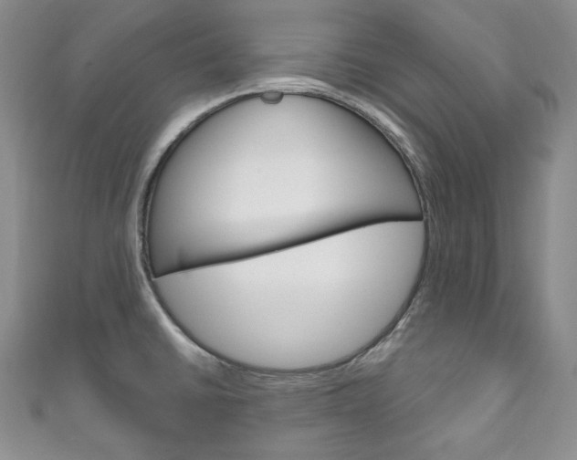 X0000111161430200906301049