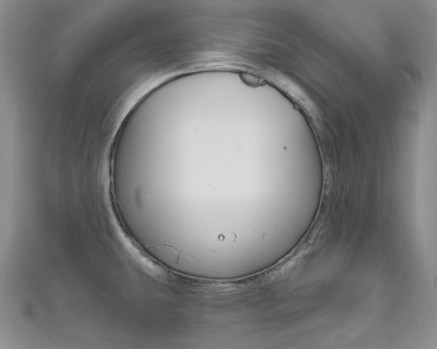 X0000111161431200906301049