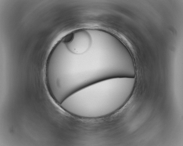 X0000111161432200906301049