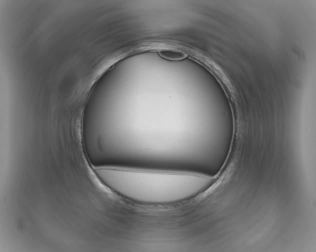 X0000111161433200906301049