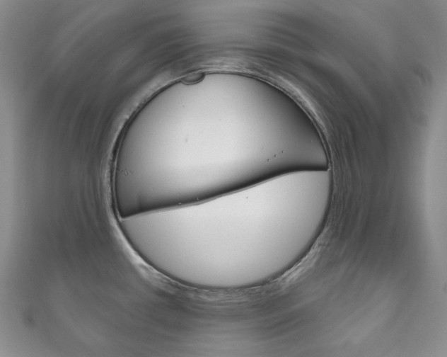 X0000111161434200906301049