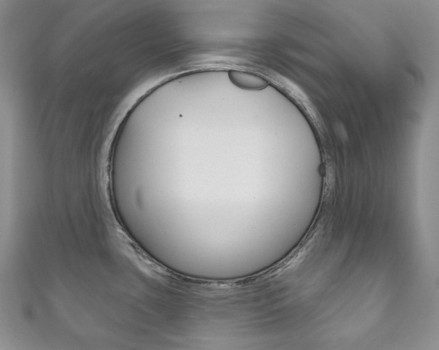 X0000111161435200906301049
