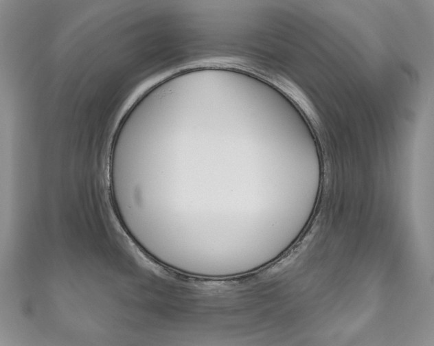 X0000111161436200906301049