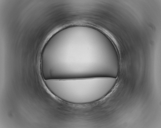X0000111161437200906301049