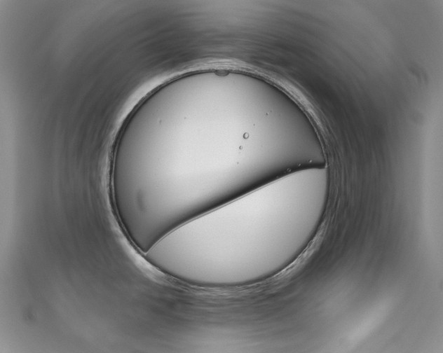 X0000111161438200906301049