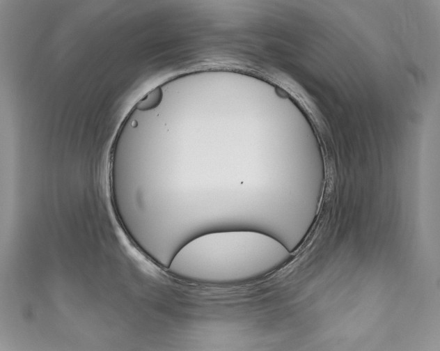 X0000111161439200906301049
