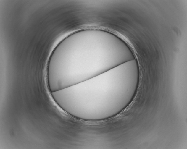 X0000111161440200906301049