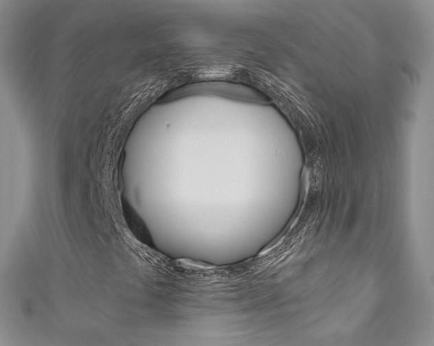 X0000111161441200906301049