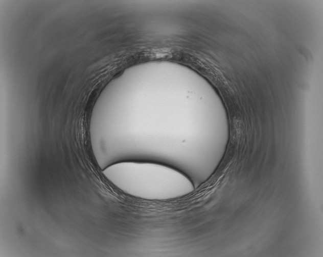 X0000111161442200906301049