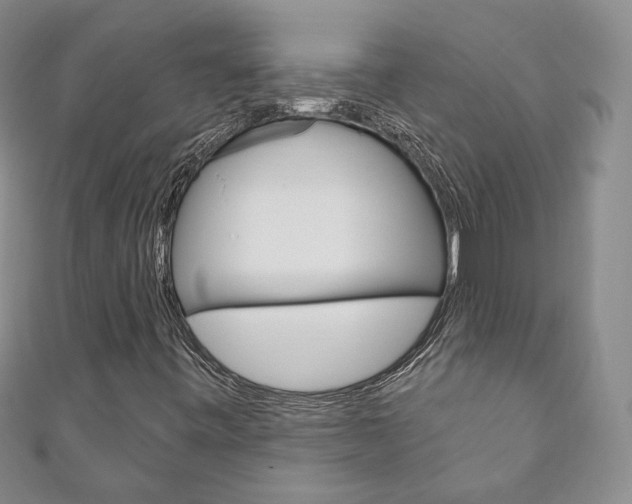 X0000111161443200906301049