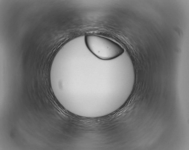 X0000111161444200906301049