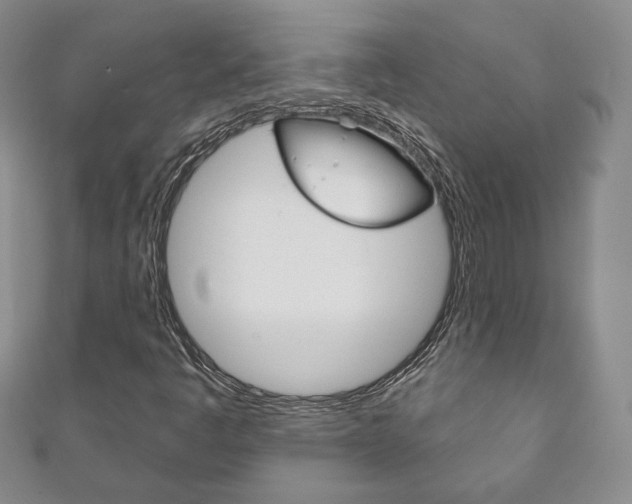 X0000111161445200906301049