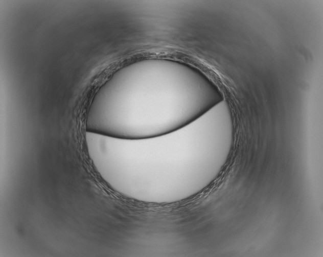 X0000111161447200906301048