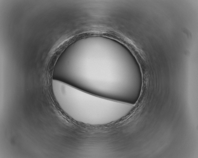 X0000111161448200906301048