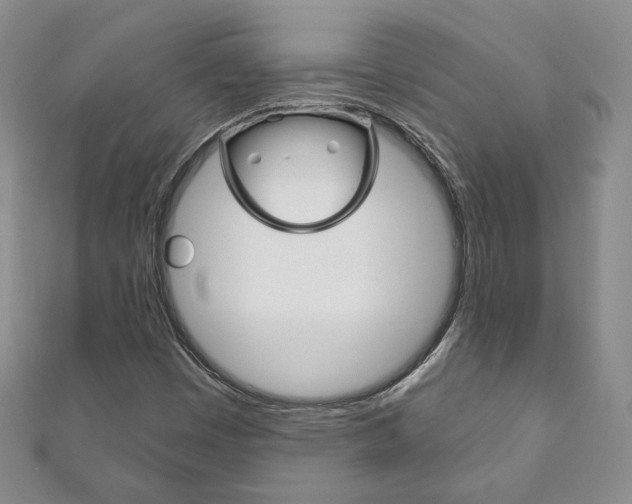 X0000111161449200906301048