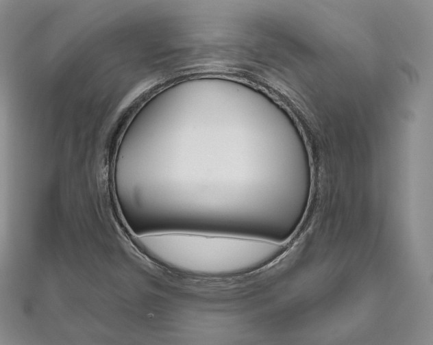 X0000111161450200906301048