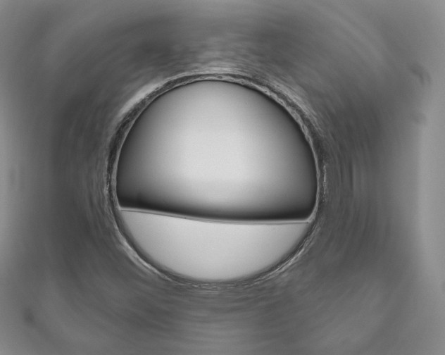 X0000111161452200906301048