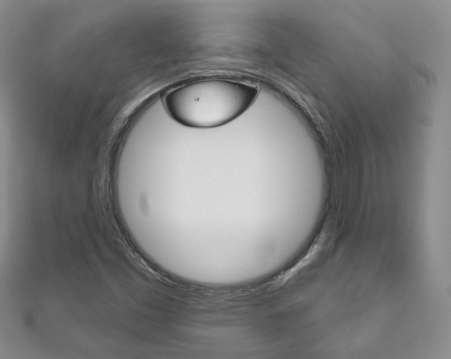X0000111161453200906301048