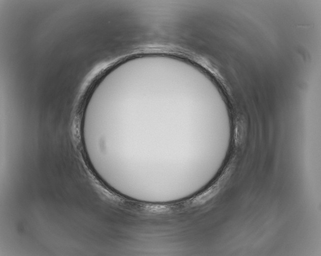 X0000111161454200906301048