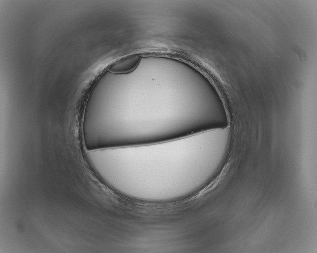 X0000111161455200906301048