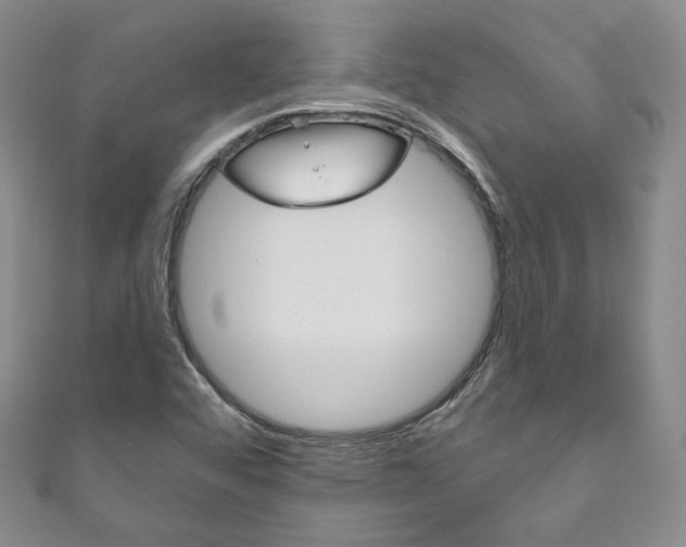 X0000111161456200906301048