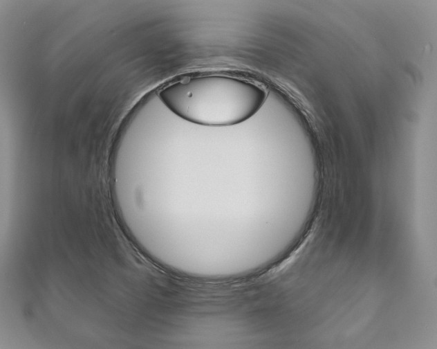 X0000111161457200906301048
