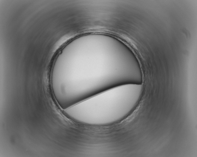 X0000111161458200906301048